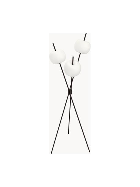 Lámpara de pie de vidrio soplado artesanalmente LED regulable Kushi, Estructura: metal recubierto, Cable: plástico, Negro, Al 140 cm