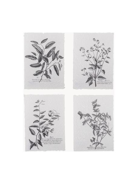 Posterset Fribo, 4-delig, Papier, Zwart, wit, B 26 x H 35 cm
