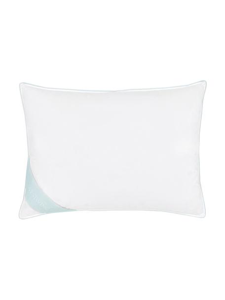 Almohada de plumas Comfort, media, Funda: 100% algodón, sarga de Ma, Blanco con ribete turquesa satinado, An 50 cm x L 70 cm