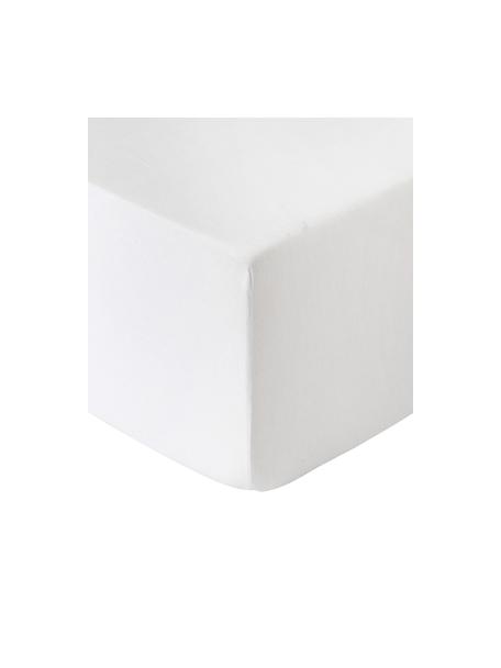 Lenzuolo con angoli boxspring in flanella bianca Biba, Bianco, Larg. 90 x Lung. 200 cm
