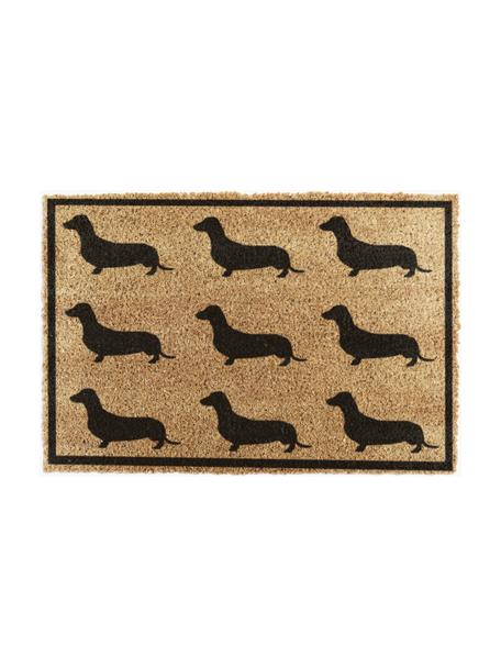 Fussmatte Dachshund, Oberseite: Kokosfaser, Unterseite: Naturkautschuk, Beige, Schwarz, B 40 x L 60 cm