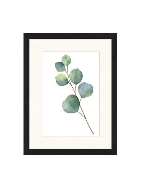 Gerahmter Digitaldruck Eucalyptus II, Bild: Digitaldruck auf Papier, , Rahmen: Holz, lackiert, Front: Plexiglas, Bild: Grün, Weiß Rahmen: Schwarz, B 33 x H 43 cm