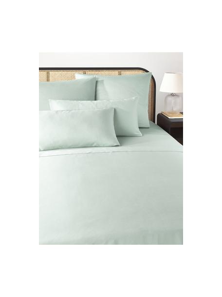 Prześcieradło z satyny bawełnianej Comfort, Szałwiowy zielony, S 180 x D 280 cm