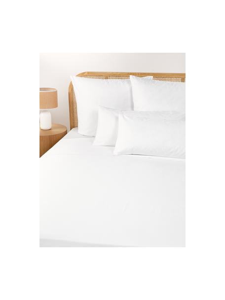 Drap plat en percale de coton Elsie, Blanc, larg. 270 x long. 280 cm