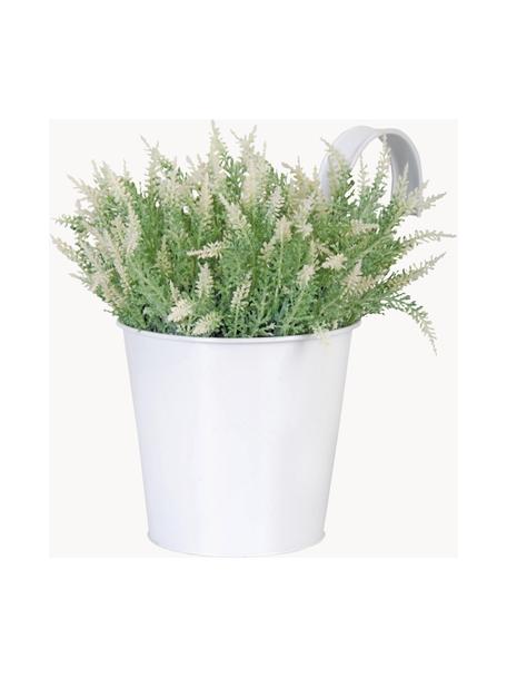 Cache-pot avec crochet Larissa, Métal, enduit, Blanc, larg. 16 x long. 22 cm