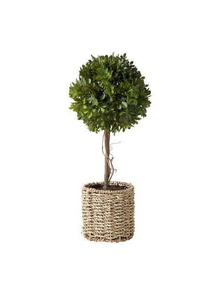 Handgemaakte kunstboom Moni, Pot: rotan, Groen, bruin, Ø 20 x H 43 cm