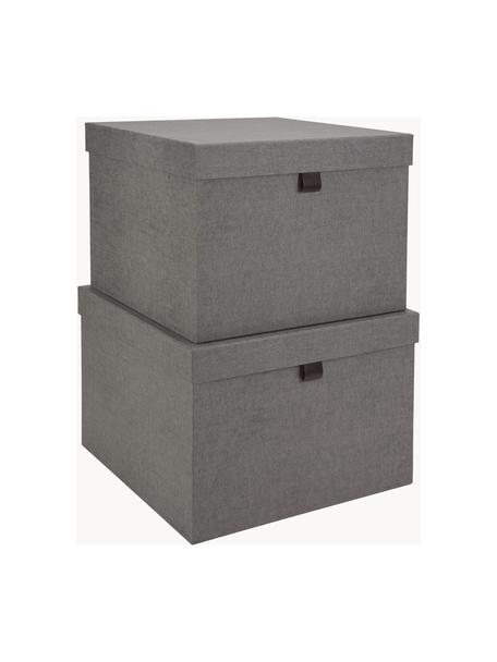 Set de cajas Tristan, 2 pzas., Caja: cartón laminado rígido, Gris, Set de diferentes tamaños