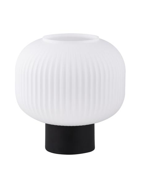 Lampada da comodino piccola in vetro opale Charles, Paralume: vetro opale, Base della lampada: metallo rivestito, Bianco opalino, nero, Ø 20 x Alt. 20 cm