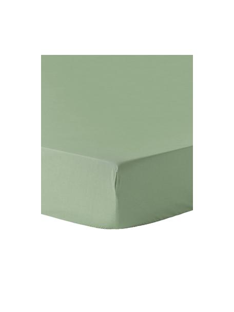 Lenzuolo con angoli topper in cotone percalle Elsie, Verde salvia, Larg. 90 x Lung. 200 cm, Alt. 15 cm
