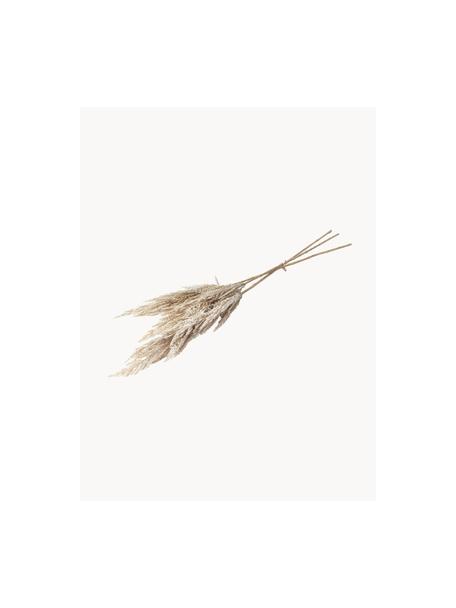 Ručne vyrobená kytica Pampas, Umelá hmota, Krémovobiela, D 92 cm