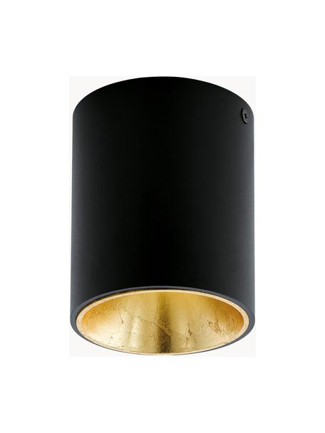 Lampa spot LED Marty, Czarny, odcienie złotego, Ø 10 x W 12 cm