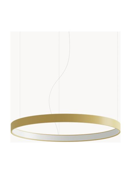Lámpara de techo artesanal grande LED Tim, tamaños diferentes, Cable: plástico, Dorado mate, Ø 55 cm