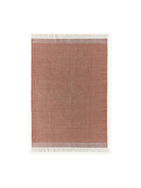 Vlak geweven vloerkleed Ryder met franjes, 100% polyester, GRS-gecertificeerd, Terracotta, wit, B 120 x L 180 cm (maat S)