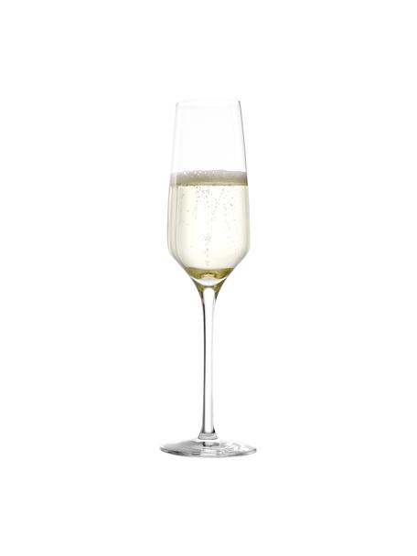 Champagneglazen Experience, 6 stuks, Kristalglas, Transparant, Ø 6 x H 22 cm, 190 ml