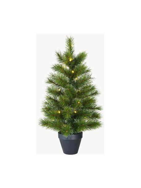 Vánoční stromeček s LED světly Glendon, Zelená, Ø 51 cm, V 90 cm