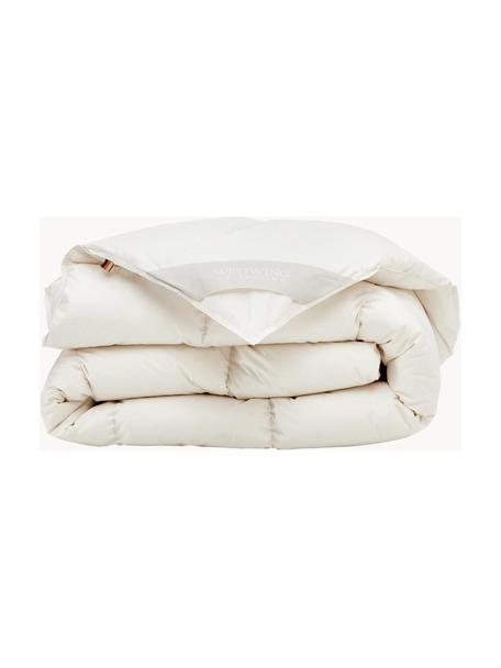 Bettdecke Premium aus Bio-Daunen und Bio-Baumwolle, warm, Bezug: 100% Bio-Baumwolle, GOTS , Warm, B 135 x L 200 cm