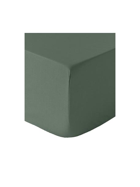 Boxspring-Spannbettlaken Elsie, Baumwollperkal, Webart: Perkal, Dunkelgrün, B 90 x L 200 cm, H 35 cm