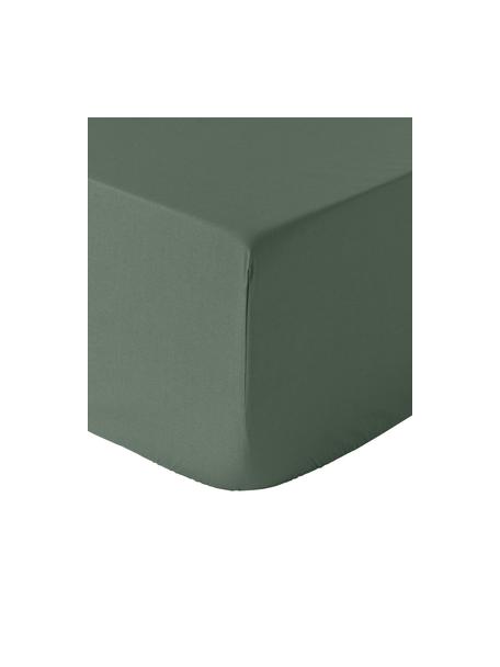 Lenzuolo con angoli boxspring in cotone percalle Elsie, Verde scuro, Larg. 90 x Lung. 200 cm