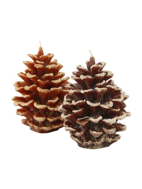 Kaarsen Pine in de vorm van dennenappels, 2 stuks, Was, Bruintinten, Ø 10 x H 14 cm
