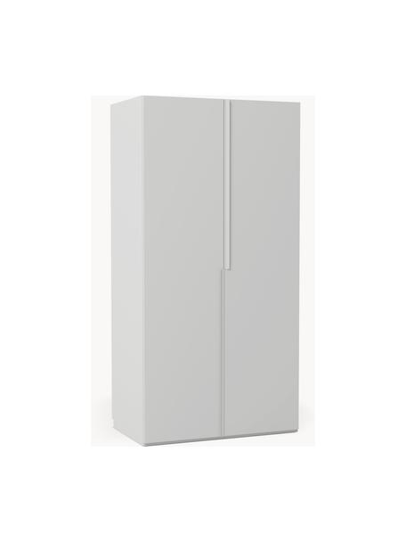 Armario modular Leon, 2 puertas (100 cm), diferentes variantes, Estructura: tablero aglomerado revest, Gris claro, Interior Basic (An 100 x Al 200 cm)