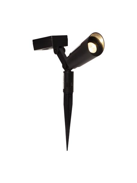 Set lampada solare da terra Powerspot 2 pz, Struttura: plastica, Nero, Larg. 20 x Alt. 15 cm