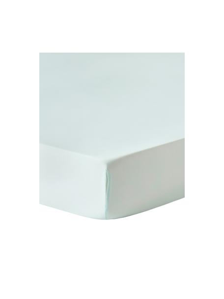 Topper hoeslaken Comfort, katoensatijn, Weeftechniek: satijn Draaddichtheid 250, Saliegroen, B 90 x L 200 cm, H 15 cm