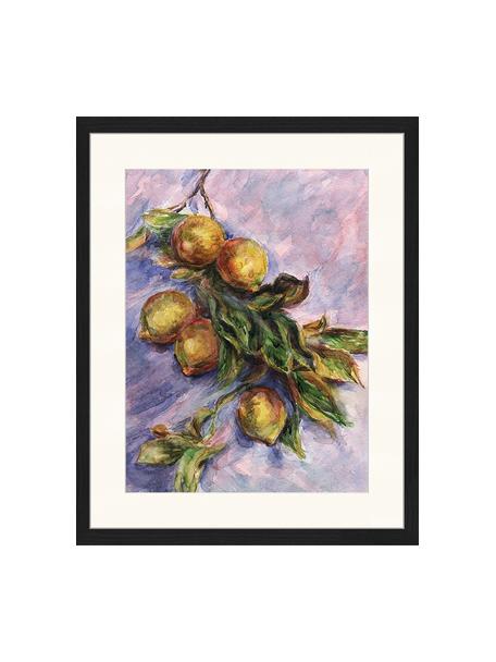 Stampa digitale incorniciata Lemons On A Branch, Immagine: stampa digitale su carta,, Cornice: legno, verniciato, Multicolore, Larg. 43 x Alt. 53 cm