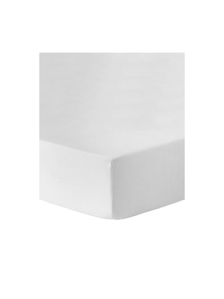 Flanelové napínací prostěradlo Biba, Světle šedá, Š 90 cm, D 200 cm, V 15 cm