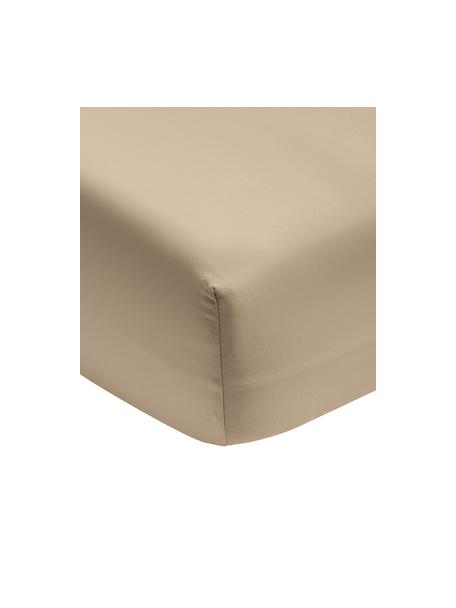 Lenzuolo con angoli in cotone biologico beige Premium, Taupe, Larg. 90 x Lung. 200 cm
