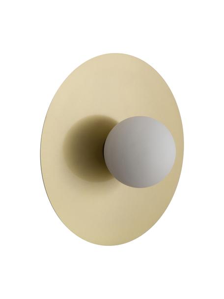 Wand- en plafondlamp Starling in goudkleur, Lampenkap: opaalglas, Baldakijn: mat messingkleurig. Lampenkap: wit, Ø 33 x D 14 cm