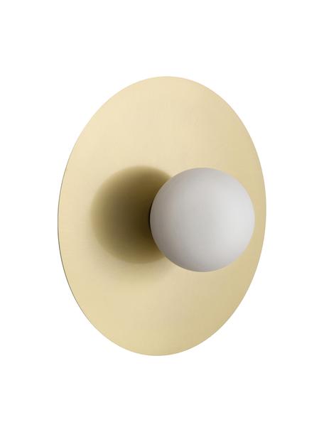 Wand- en plafondlamp Starling in goudkleur, Lampenkap: opaalglas, Baldakijn: mat messingkleurig. Lampenkap: wit, Ø 33 x D 14 cm