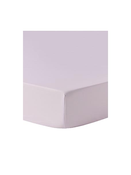 Topper-Spannbettlaken Elsie, Baumwollperkal, Webart: Perkal, Lavendel, B 90 x L 200 cm, H 15 cm