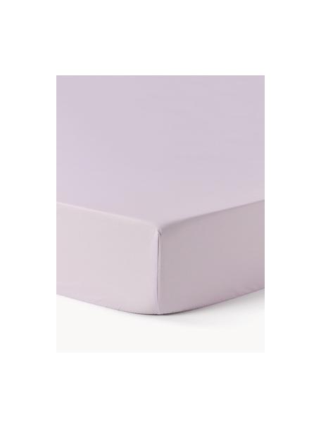 Topper-Spannbettlaken Elsie, Baumwollperkal, Webart: Perkal, Lavendel, B 90 x L 200 cm, H 15 cm