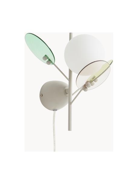 Dizajnová nástenná lampa so zástrčkou Petal, Svetlobéžová, zelená, priehľadná, H 28 x V 25 cm