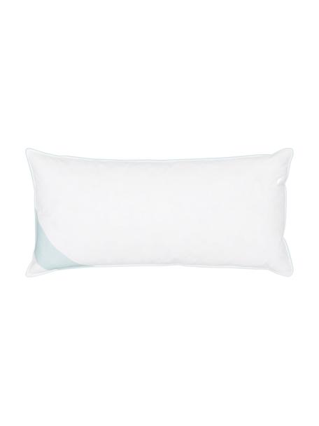 Cuscino morbido a 3 strati Premium, Esterno: 90% piuma d'oca, 10% pium, Interno: piume nuove bianche, clas, Bianco con fascia di stoffa in raso turchese, Larg. 40 x Lung. 80 cm