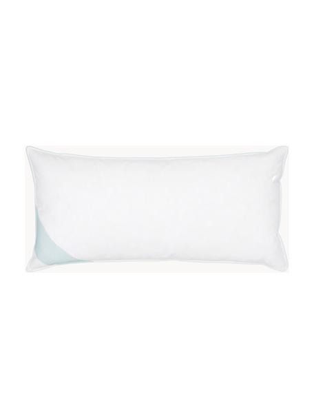 Cuscino morbido a 3 strati Premium, Esterno: 90% piuma d'oca, 10% pium, Interno: piume nuove bianche, clas, Bianco con fascia di stoffa in raso turchese, Larg. 40 x Lung. 80 cm