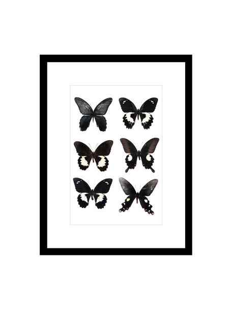 Gerahmter Digitaldruck Butterflies Dark, Bild: Digitaldruck, Rahmen: Kunststoff, Front: Glas, Schwarz,Weiss, B 30 x H 40 cm