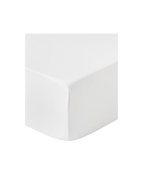 Lenzuolo con angoli in raso di cotone Premium, Bianco, Larg. 90 x Lung. 200 cm, Alt. 25 cm