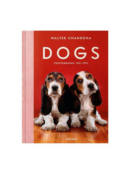 Geïllustreerd boek Dogs Photographs 1941–1991, Papier, hardcover, Dogs Photographs 1941–1991, B 24 x H 32 cm