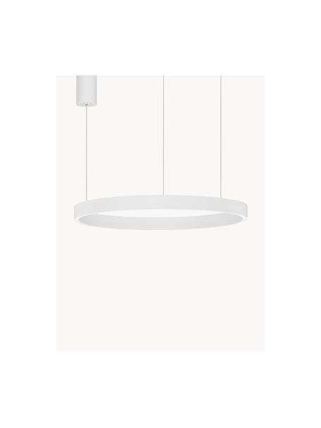 Lámpara de techo grande LED regulable Elowen, tamaños diferentes, Blanco, Ø 60 x Al 5 cm