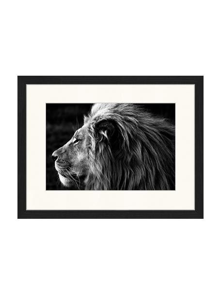Oprawiony druk cyfrowy Lose-Up Of A Lion, Czarny, biały, S 43 x W 33 cm