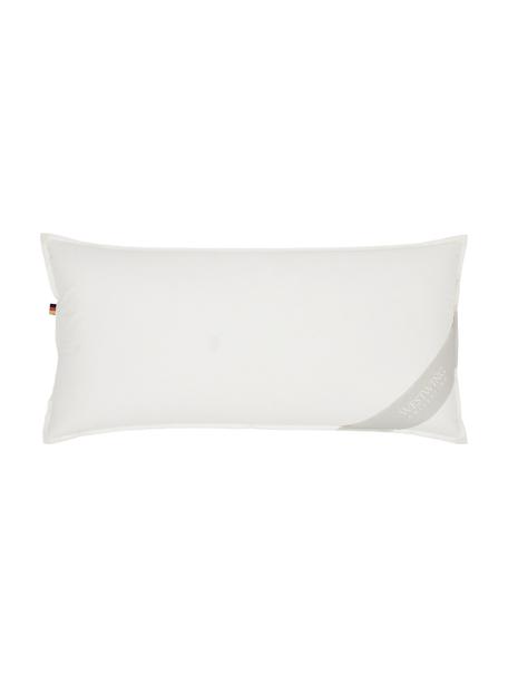 Poduszka z  organicznego puchu i bawełny Comfort, miękka, Tapicerka: 100% bawełna organiczna P, Beżowy, S 40 x D 80 cm