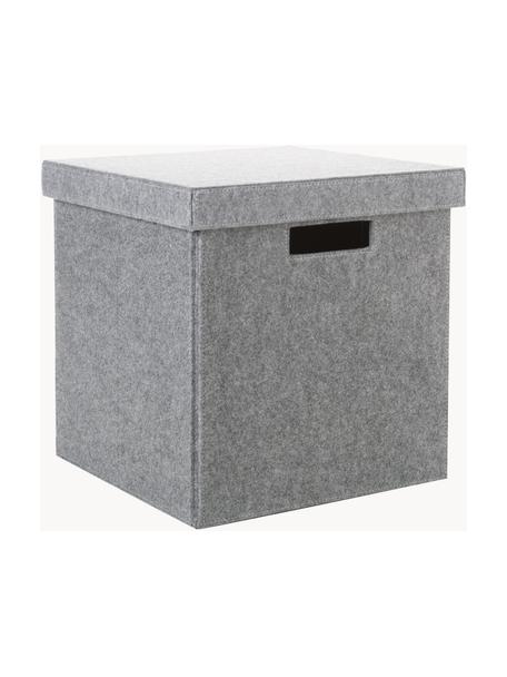 Skladovací box Lena, Plsť z recyklované umělé hmoty, Šedá, V 32 cm, Š 32 cm