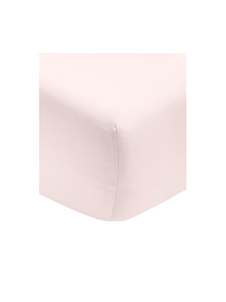 Lenzuolo con angoli in cotone biologico  rosa Premium, Rosa, Larg. 90 x Lung. 200 cm