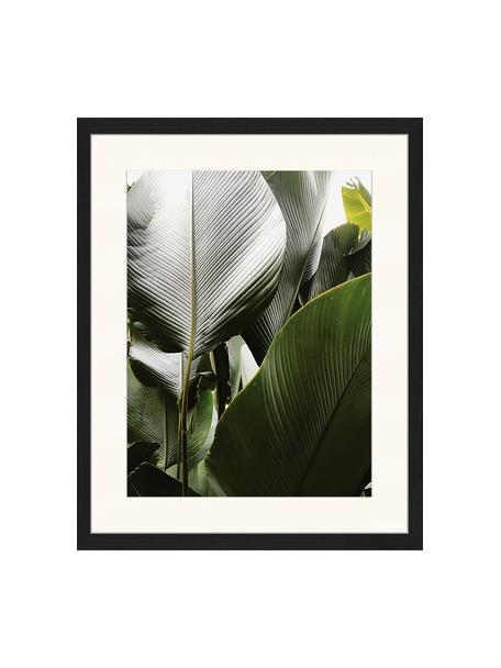 Impresión digital enmarcada Palm Tree Leaves, Multicolor, An 43 x Al 53 cm