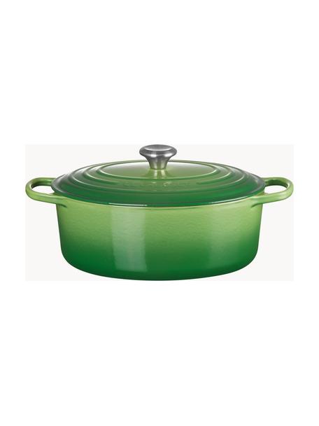 Cocotte ovale en fonte émaillée Signature Collection, Fonte, émaillée, Tons verts, larg. 31 x 18 cm, 6,3 L