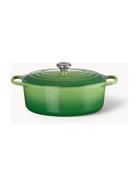 Cocotte ovale en fonte émaillée Signature Collection, Fonte, émaillée, Tons verts, larg. 31 x 18 cm, 6,3 L