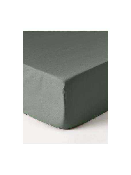 Lenzuolo con angoli in raso di cotone Premium, Verde scuro, Larg. 160 x Lung. 200 cm, Alt. 25 cm