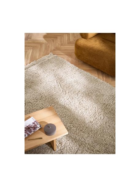 Alfombra de pelo largo con flecos Dreamy, 100% poliéster reciclado

El material utilizado para este producto ha sido probado contra sustancias nocivas y está certificado según el STANDARD 100 por OEKO-TEX®, HOHENSTEIN HTTI, 21.HIN.90042., Beige, An 120 x L 180 cm (Tamaño S)