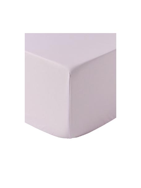 Boxspring hoeslaken Elsie, katoen perkal, Weeftechniek: perkal, Lavendel, B 180 x L 200 cm